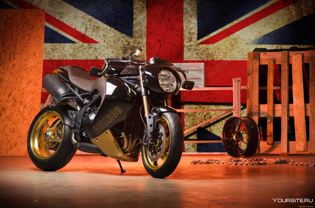 Triumph Speed Triple Bulldog