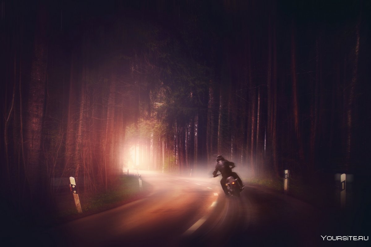 Мотоцикл ночью в лесу