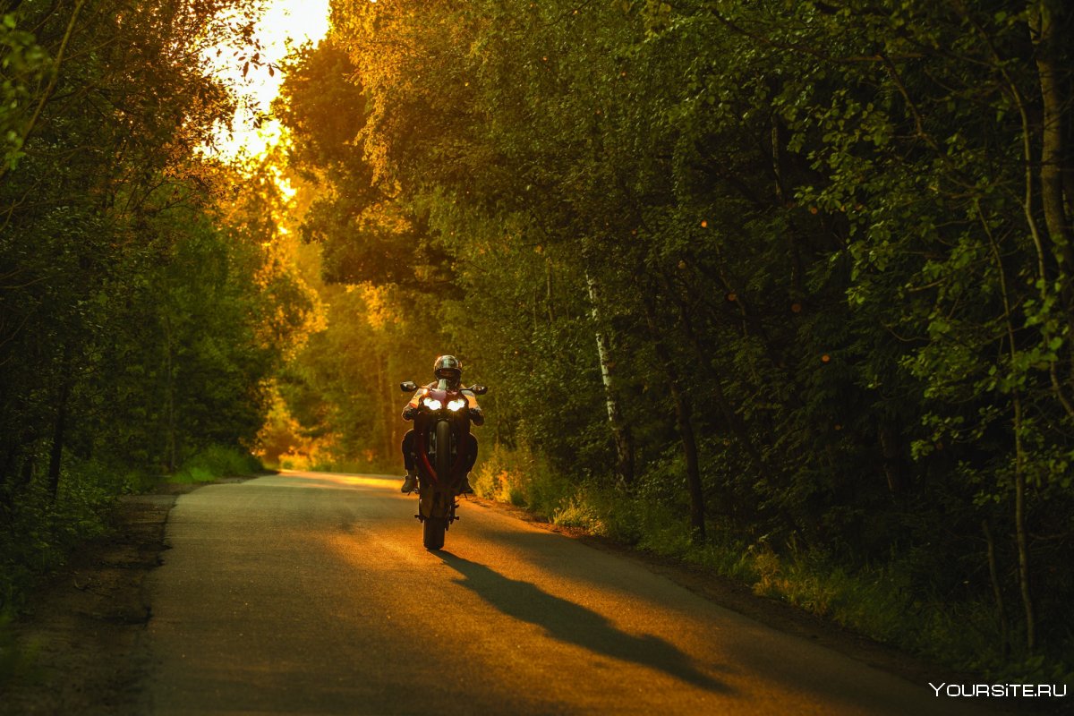 Дорога мотоцикл осень