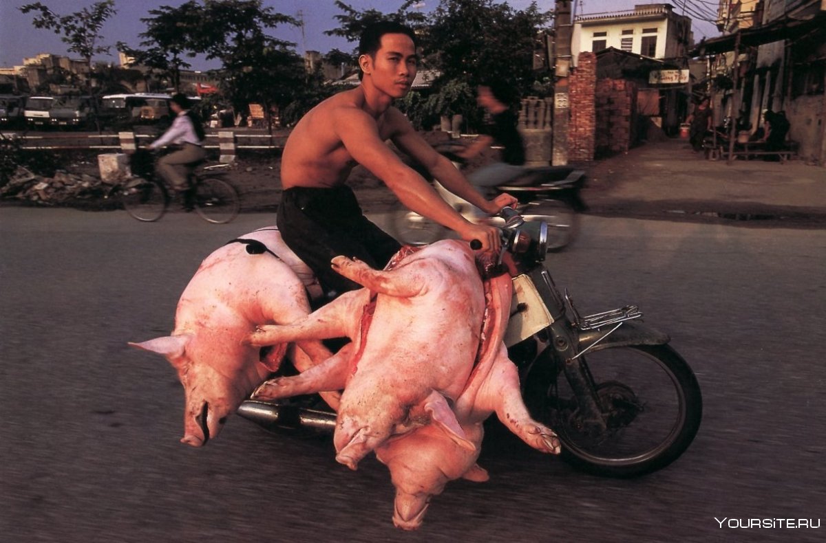 Вьетнамские мотоциклисты