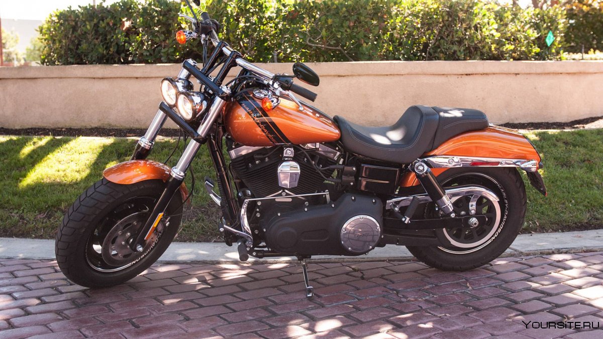 Harley Davidson FXDF