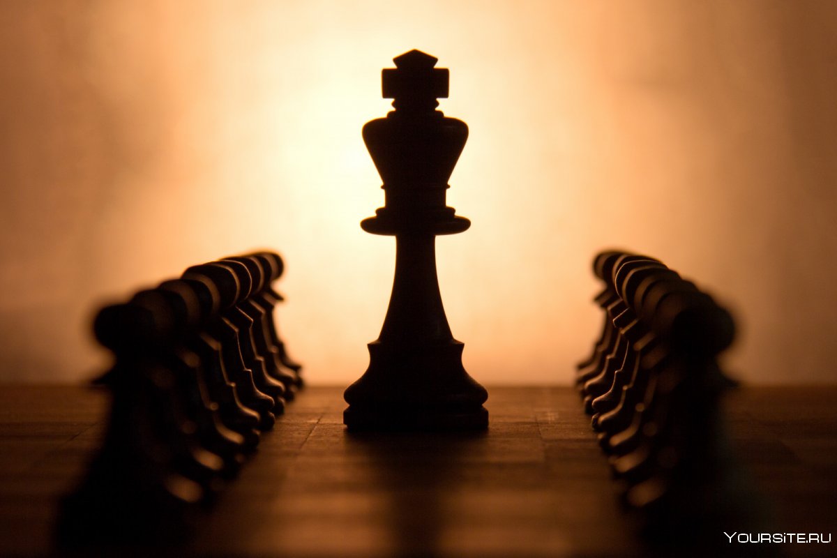 Лидерство шахматы