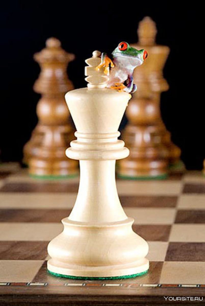 Король на шахматной доске