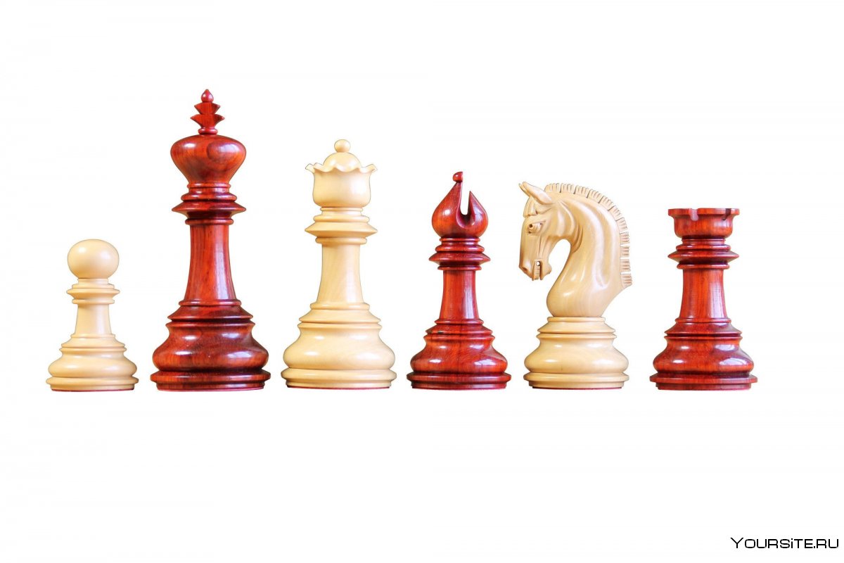 Липа шахматы