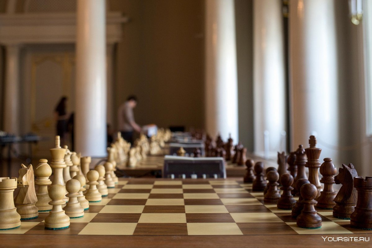 Шахматный комплекс "игра королей"