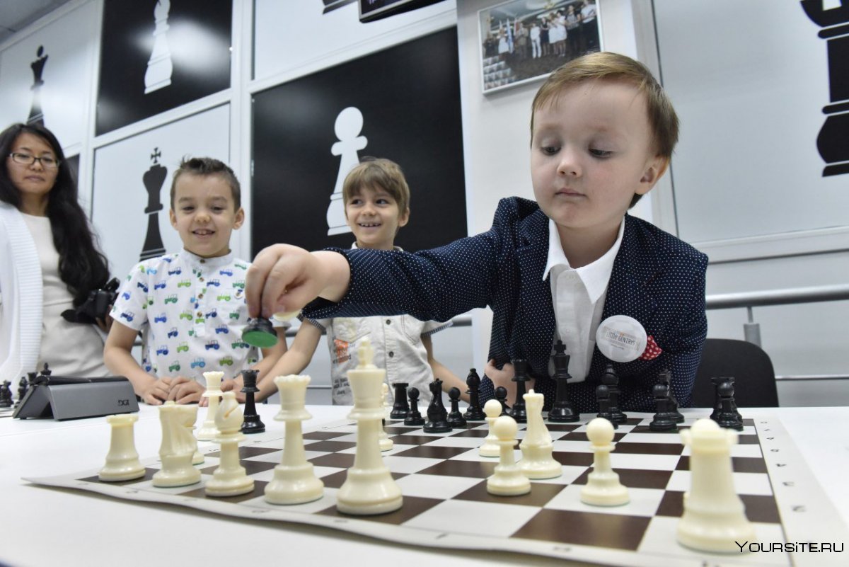 Никита Новиков шахматы