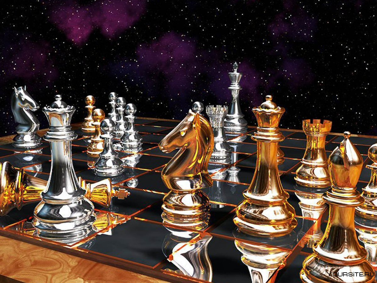 Шашки шахматы турнир