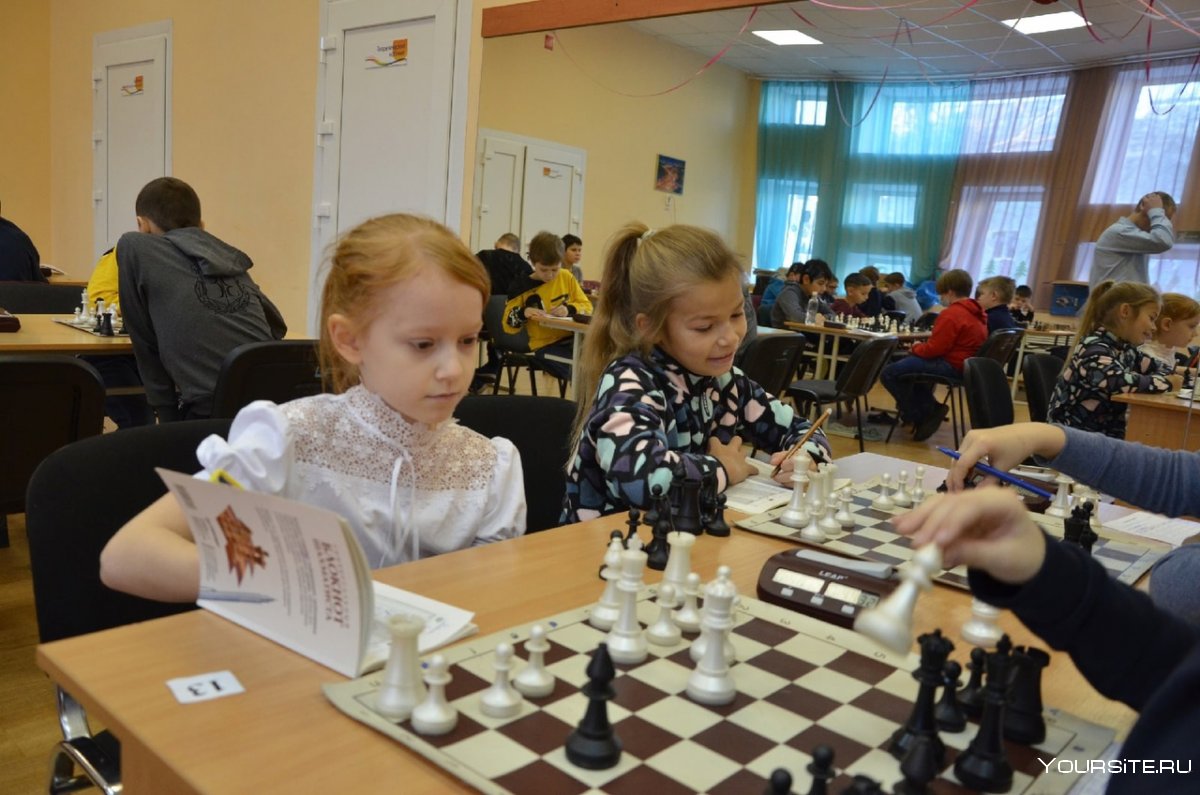 Шахматный клуб Щекино