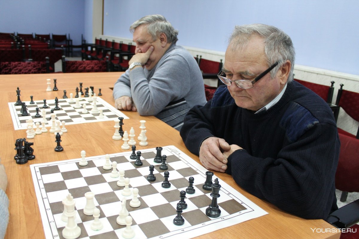 Партия шахматистов
