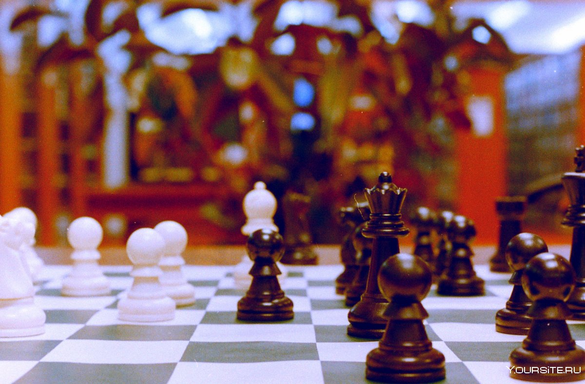Рухен Алиева шахматы