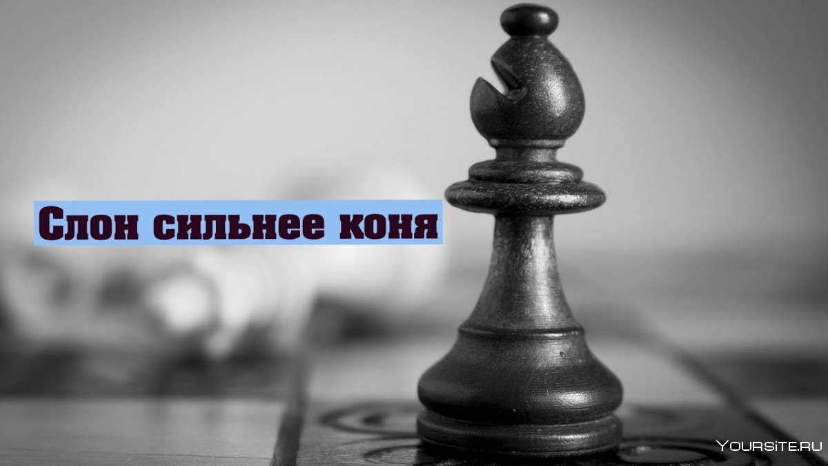 Шахматная фигура слон на доске