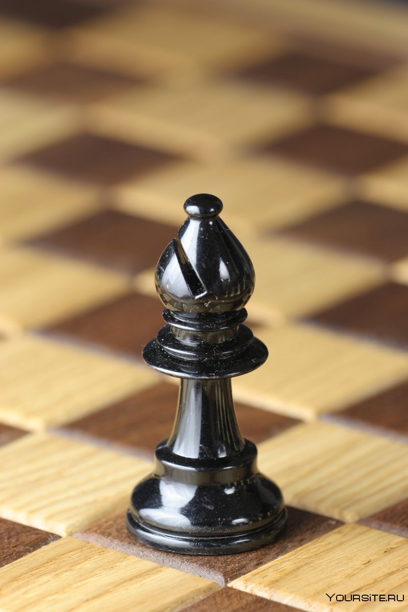 Шахматный слон