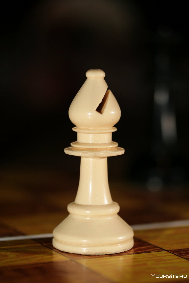 Слон шахматы Bishop