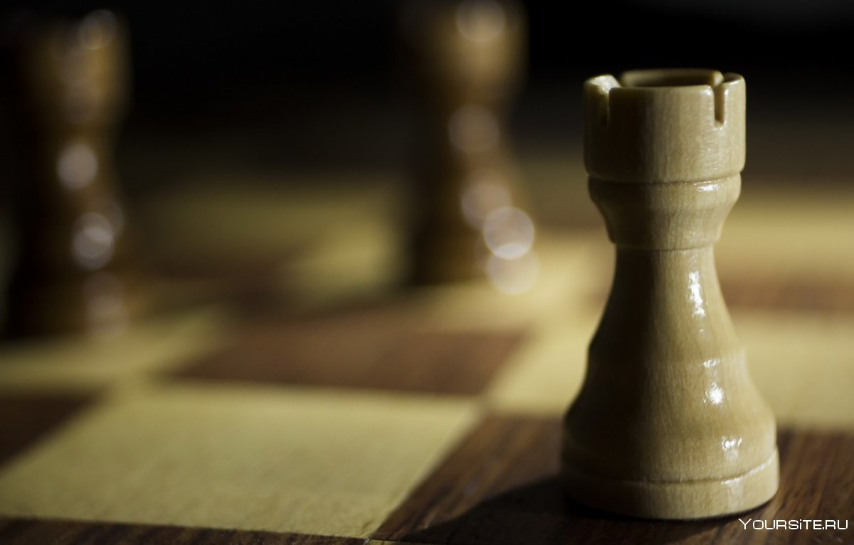 Слон и Ладья в шахматах