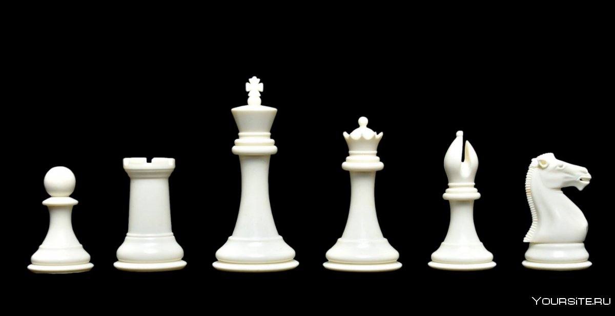 Шахматы черный Король белый ферзь