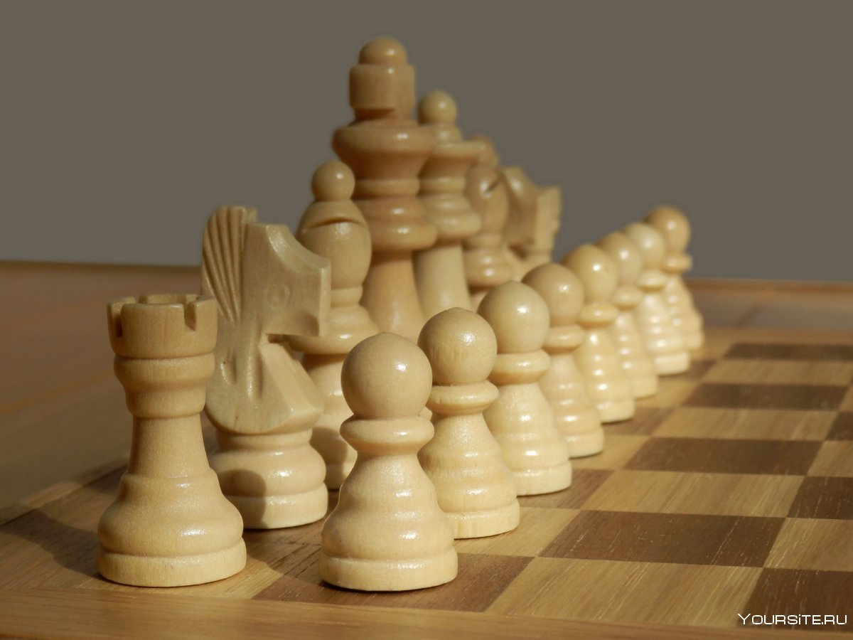 Шахматы белые фигуры