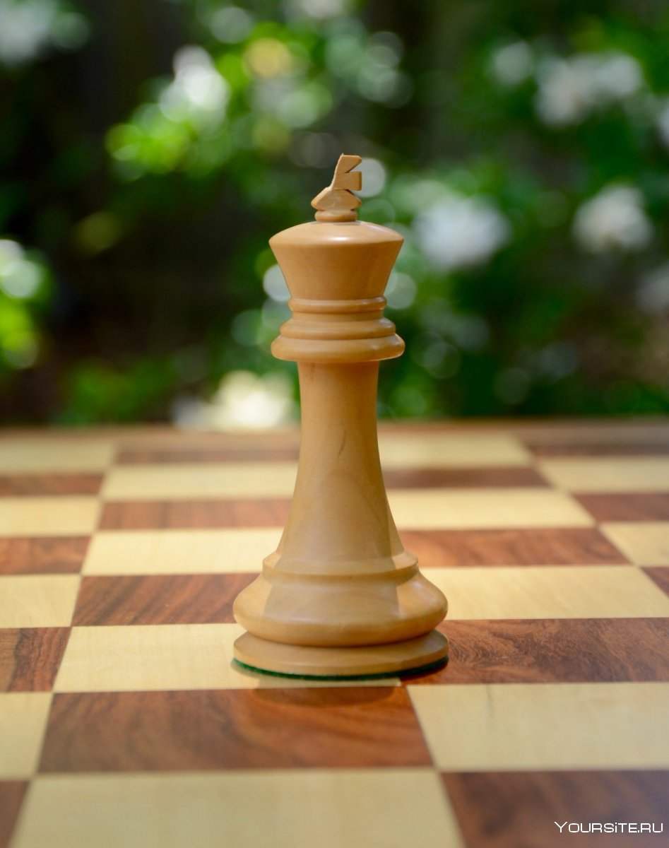 Шахматы Король и Ладья