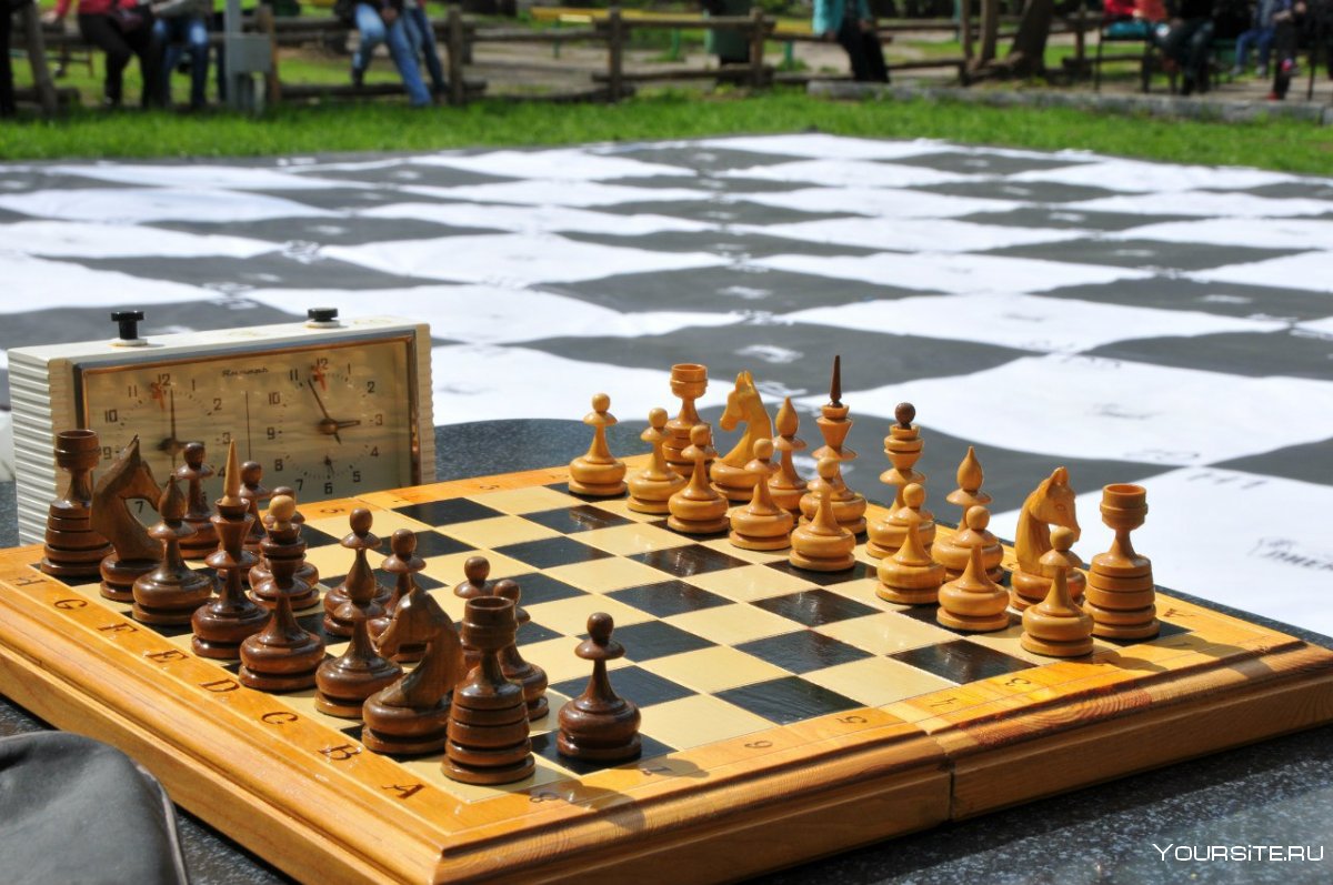 Battle Chess 1 игра