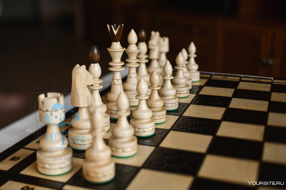 Шахматы индийская шахматистка