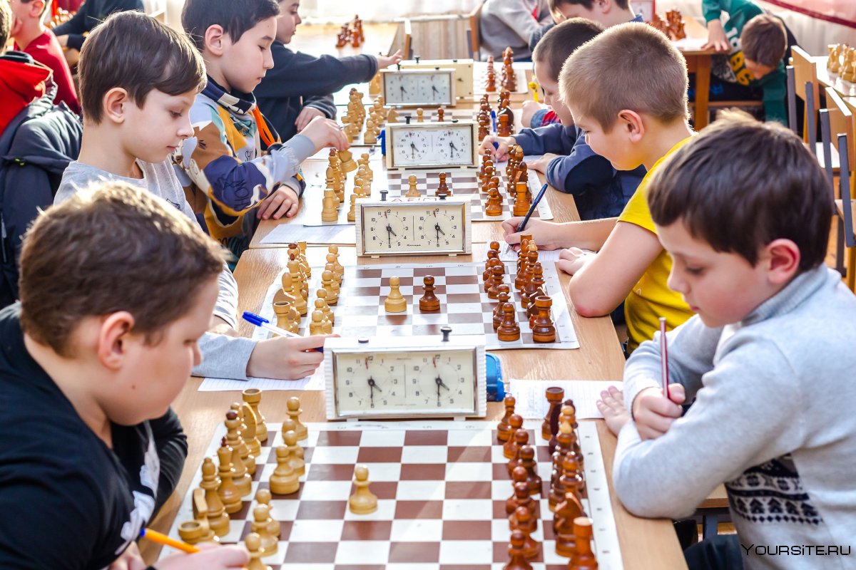 Белая Ладья 2021 шахматы грамоты