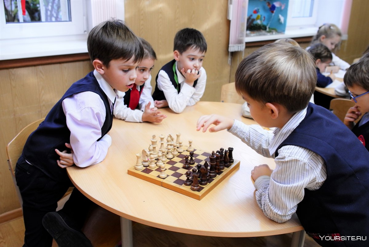 Роль шахматы