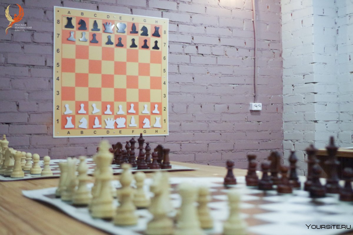 Музей шахмат шахматы Мао
