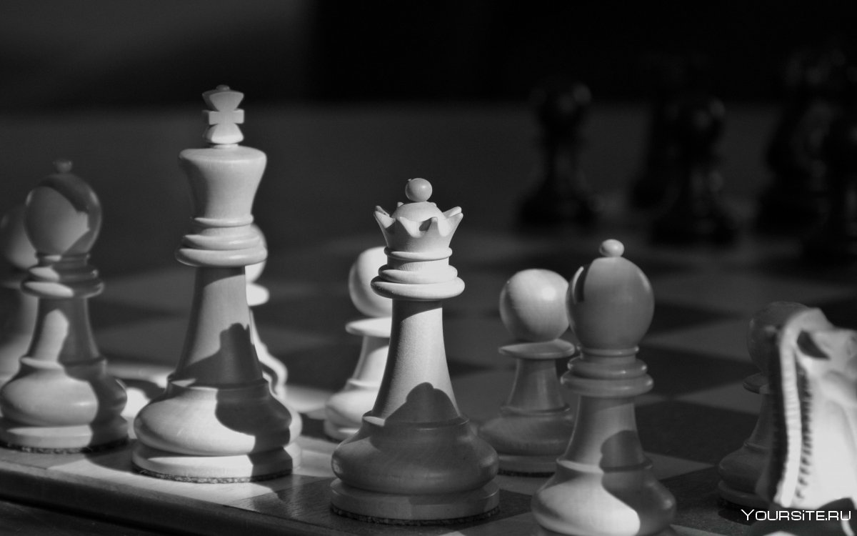 Chess King (шахматы и тактика)