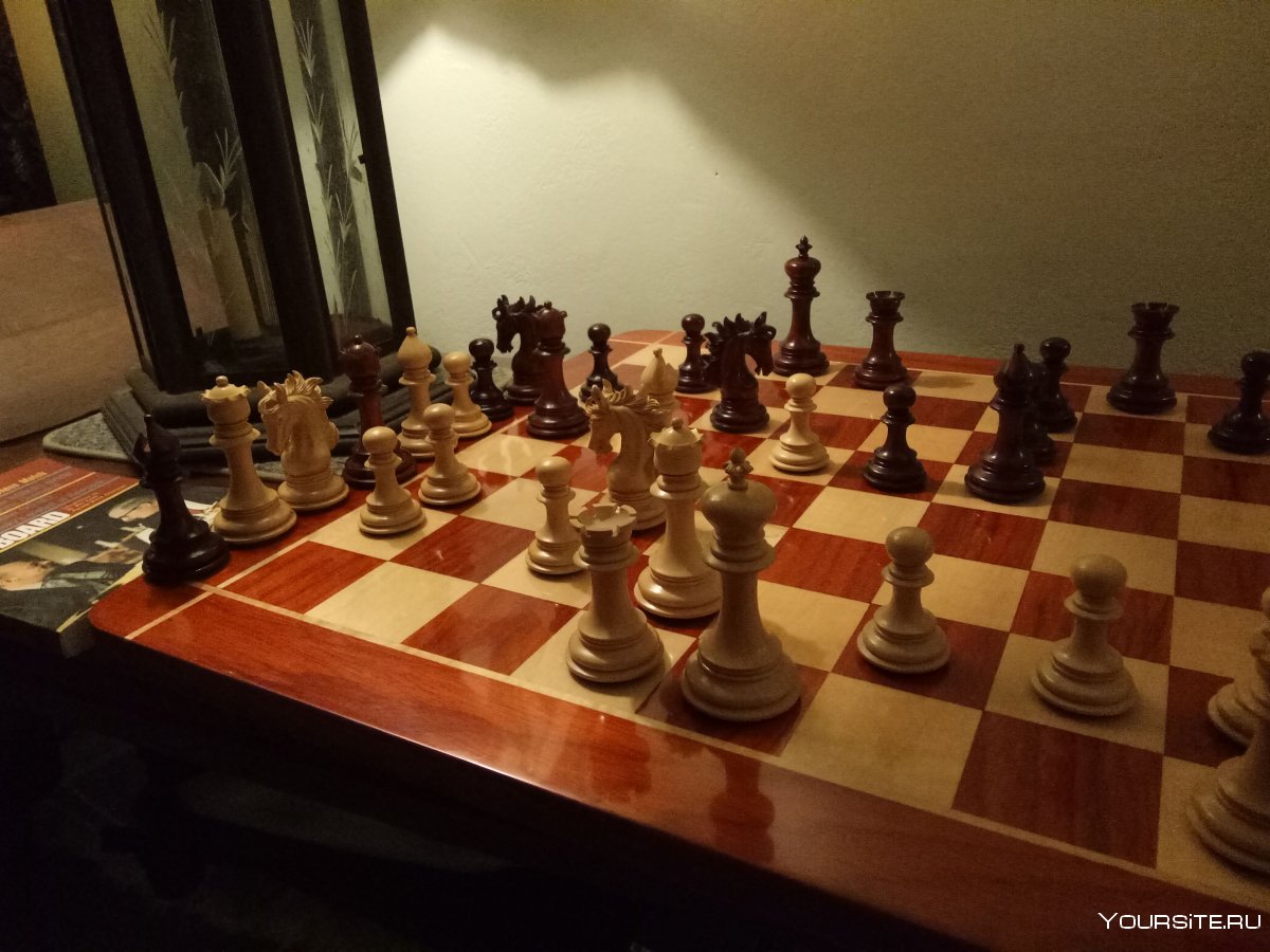 Шахматы в дорогу