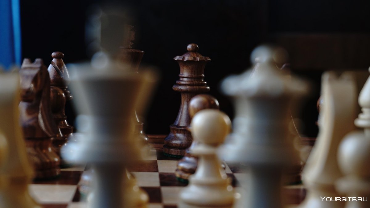 Битва на шахматной доске