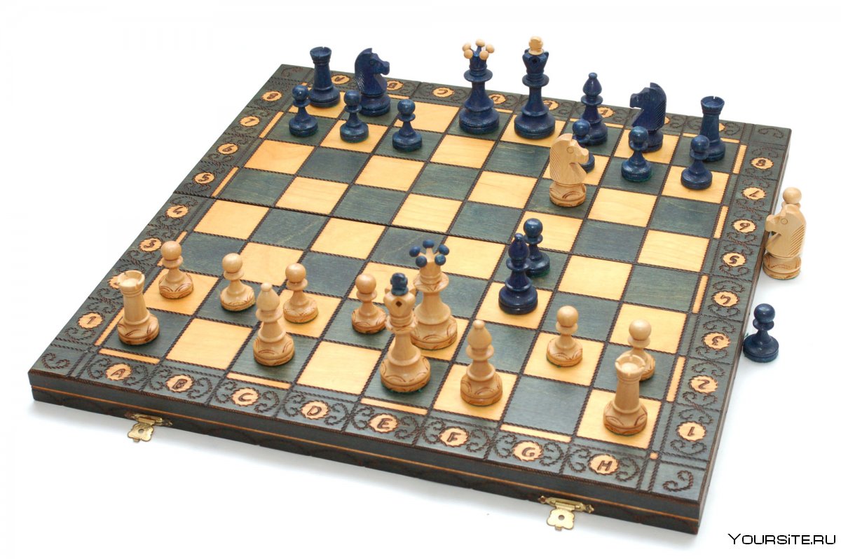 Шахматы партия Королевский гамбит