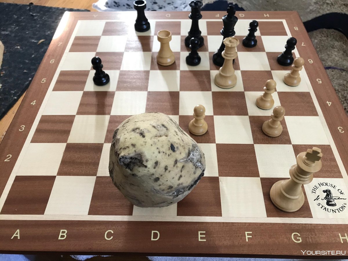 Ход короля в шахматах