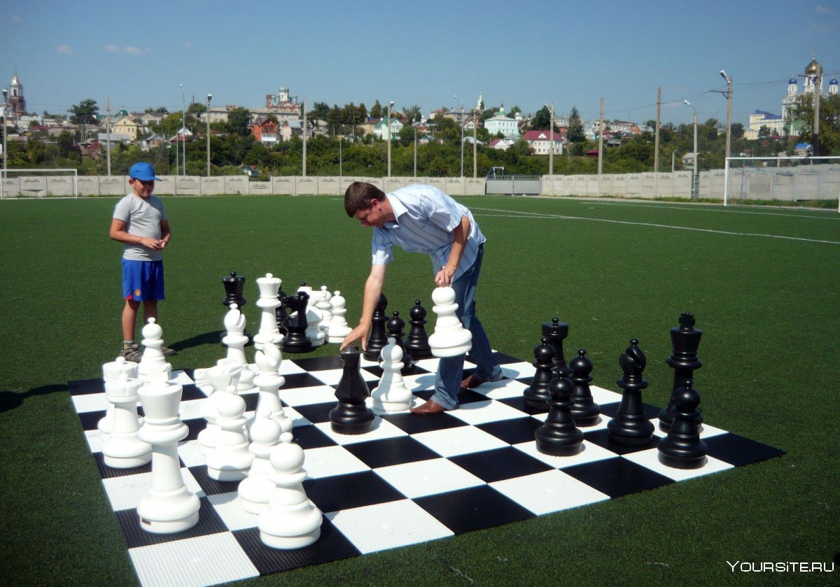 Шахматы спортивный турнир