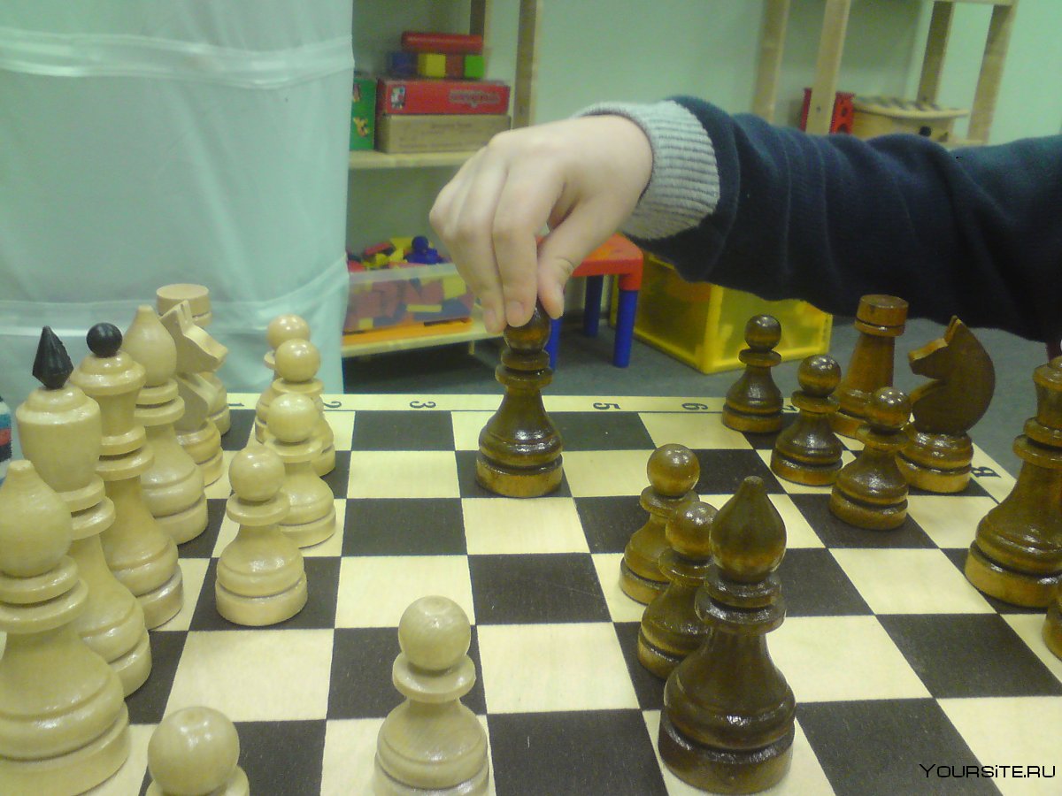 Шахматные школы Екатеринбурга