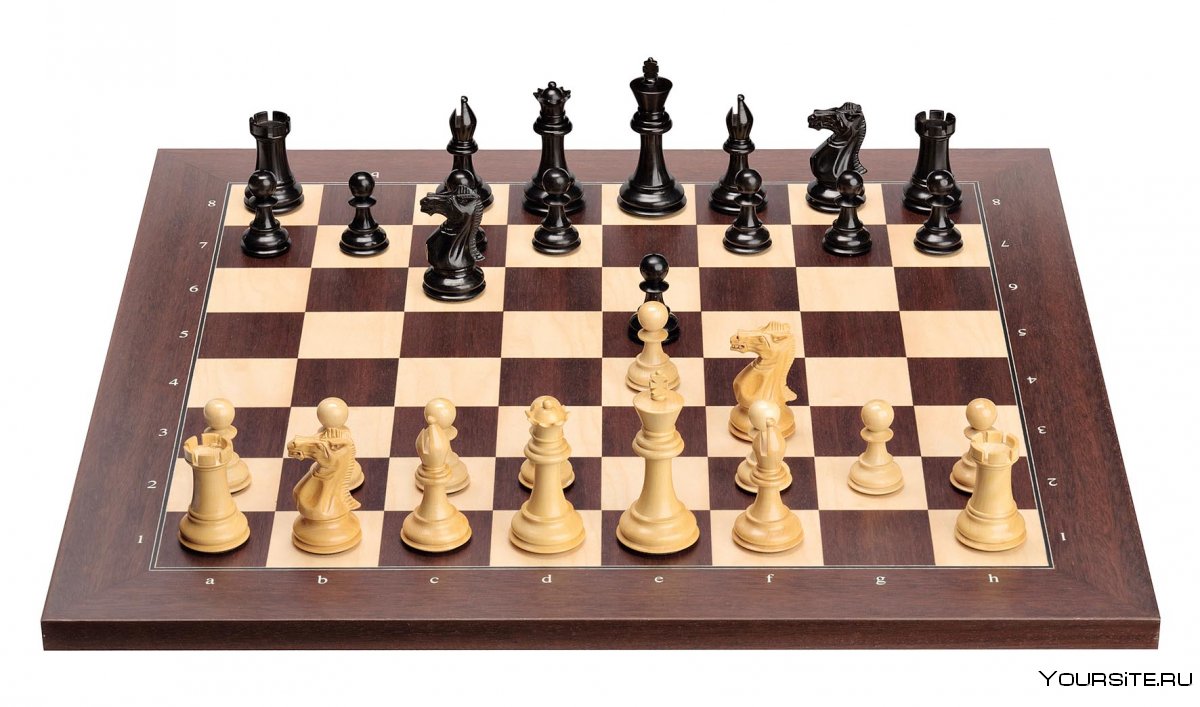 Шахматная доска с шахматами