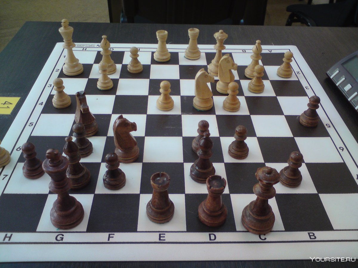 Уроки Шахматов