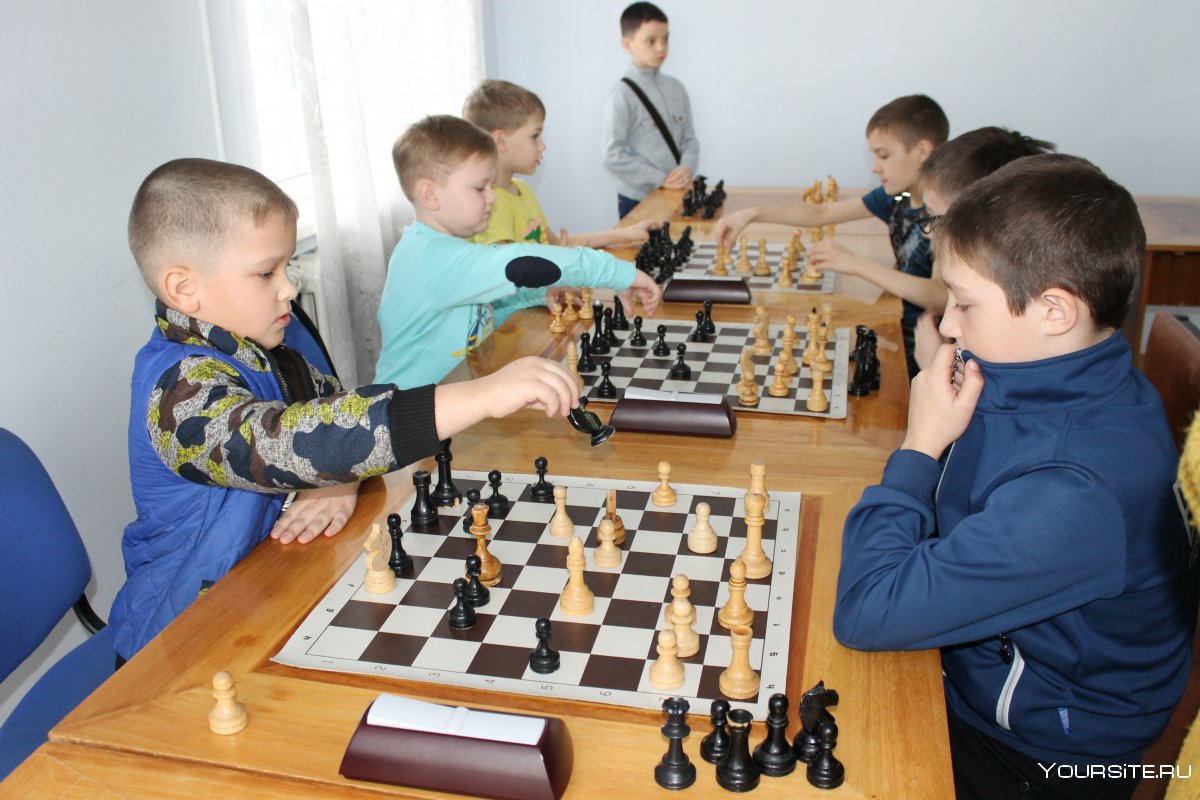 Школа шахмат Орск