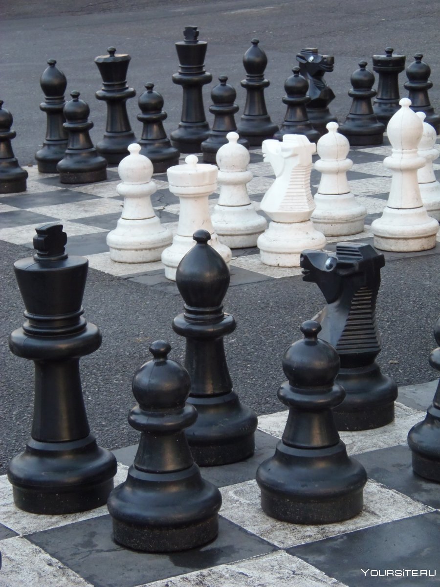 Парк с шахматными фигурами