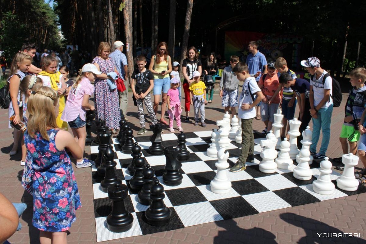 Нижний парк Липецк шахматы