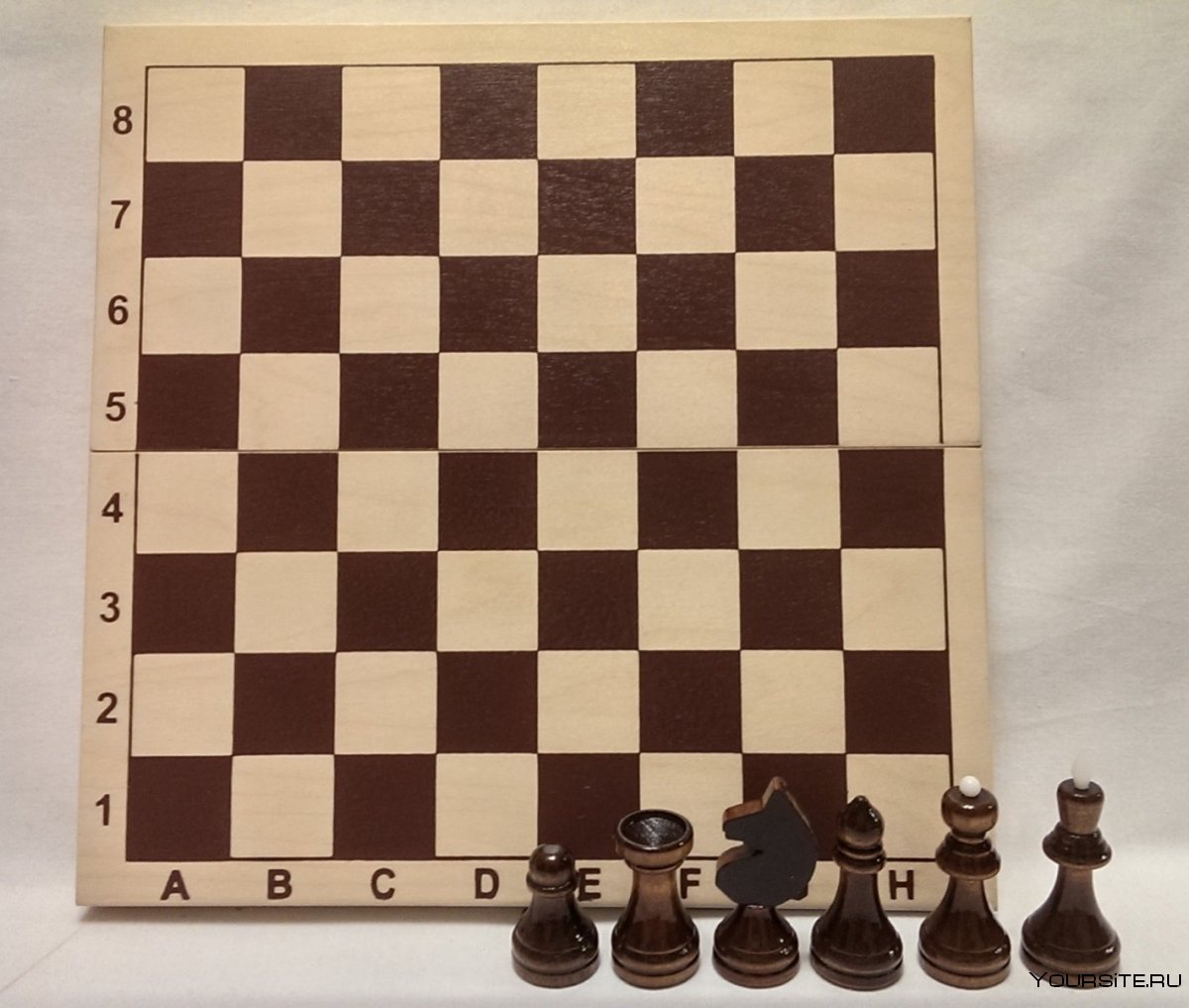 Теодора инжачь шахматы