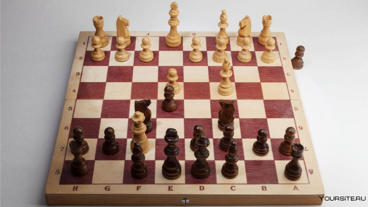 D4 c5 шахматный дебют