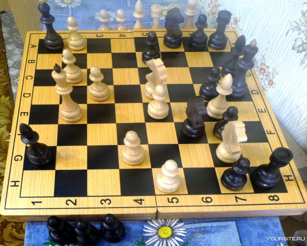 Партии шахматы Шах