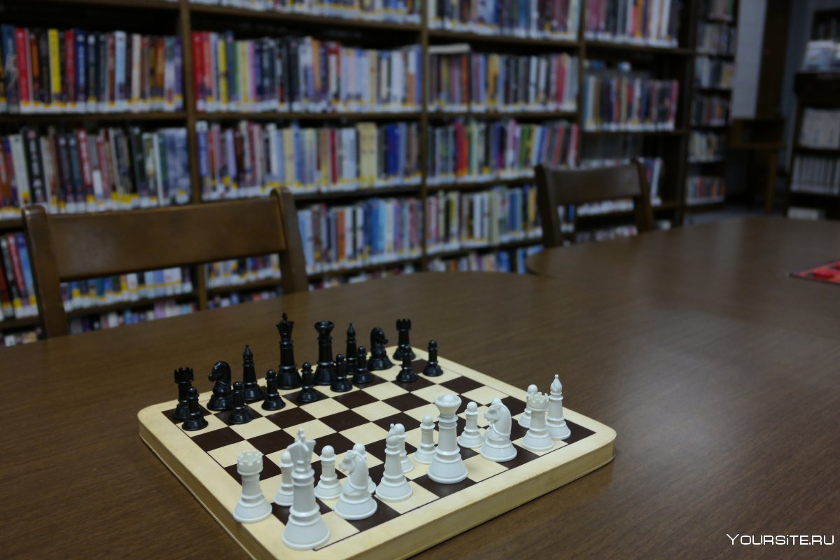 Тони Найдоски шахматы