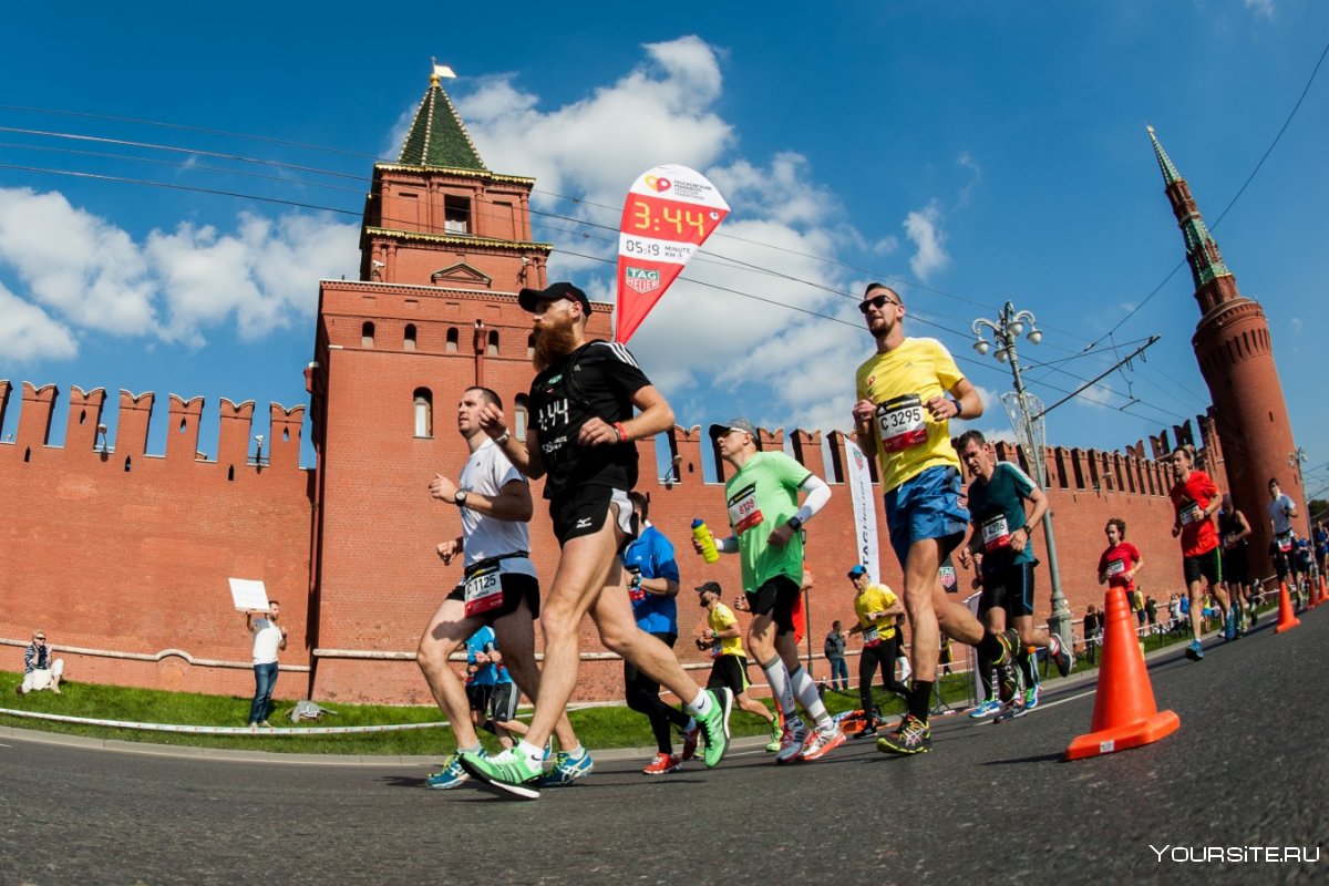 Московский марафон 2020 старт