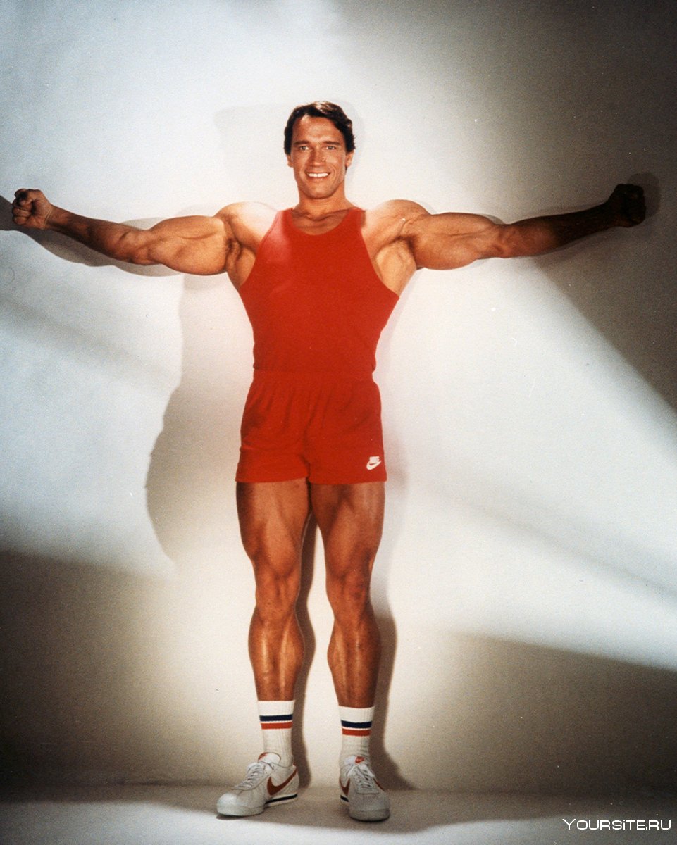 1990 Шварценеггер торс