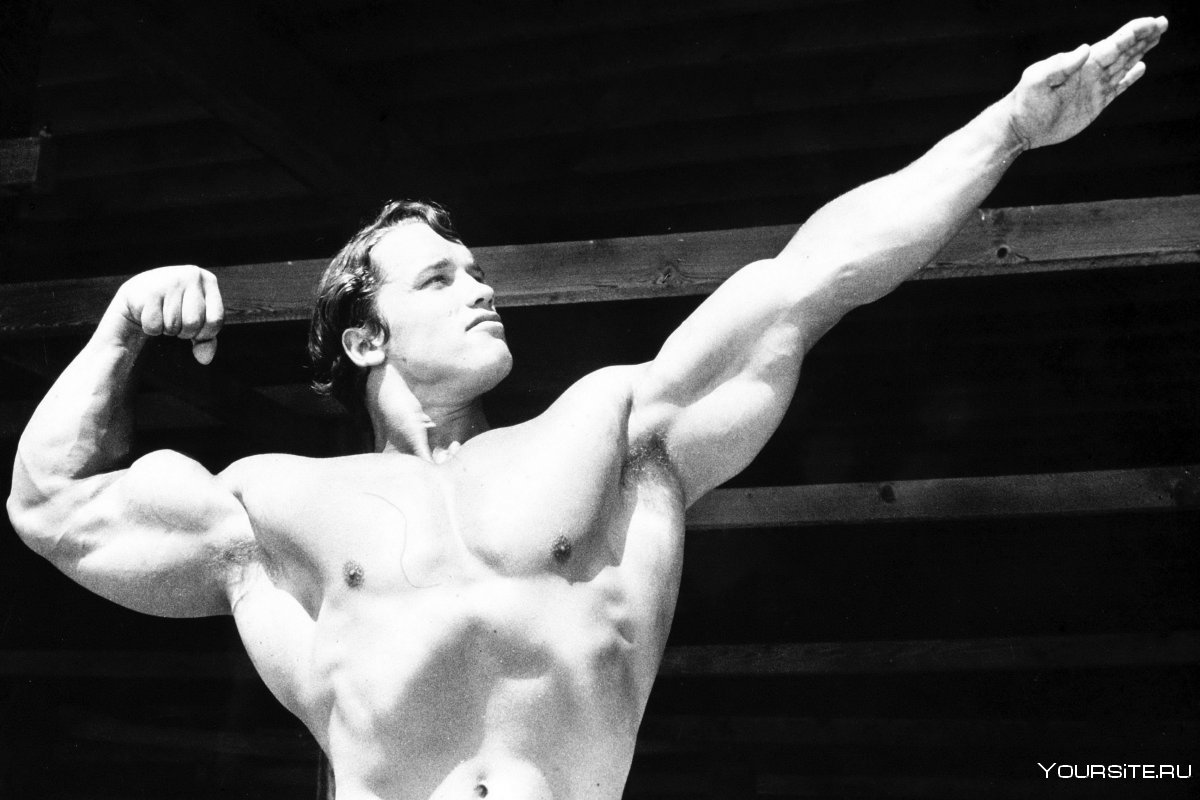 Винс Жиронда Арнольд Шварценеггер