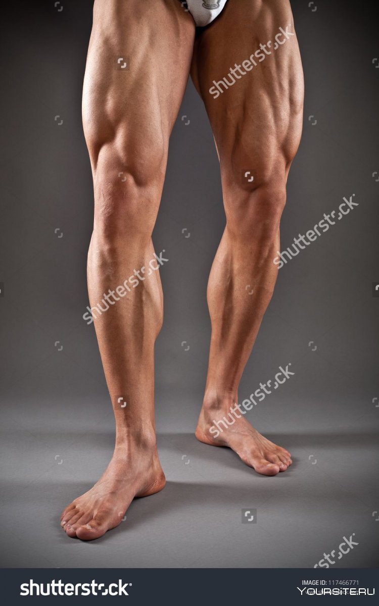 Мускулистые мужские ноги