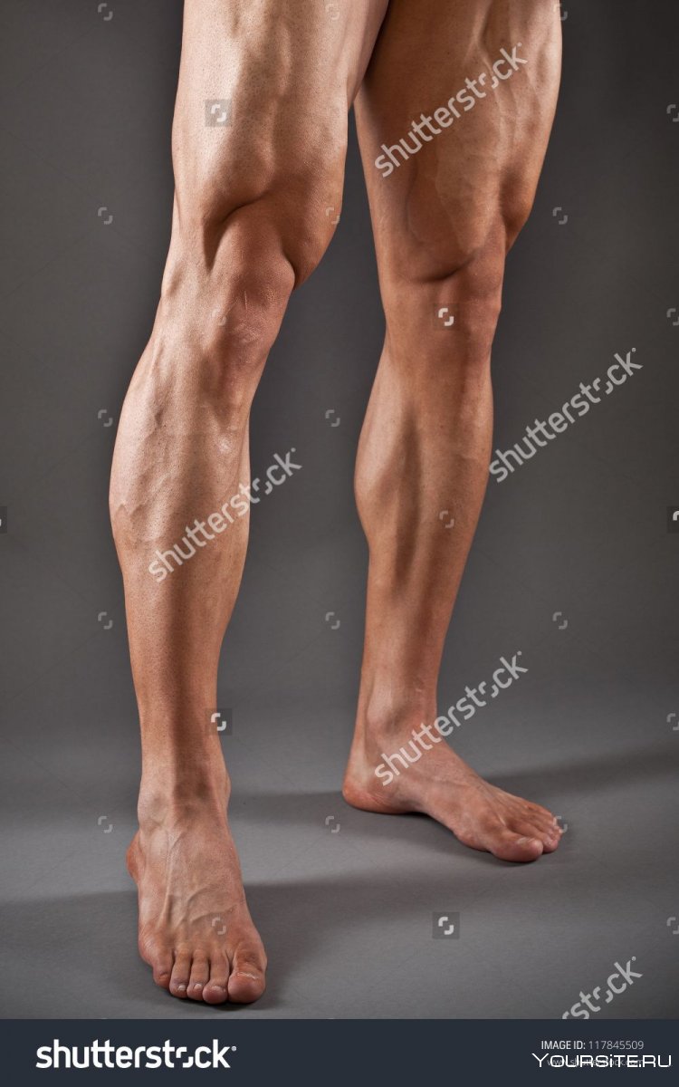 Мужские ноги
