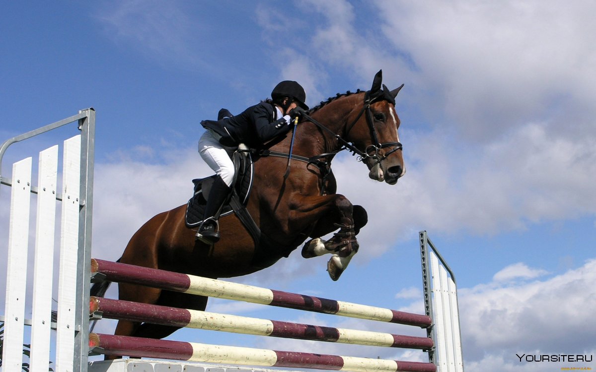 Юлия Розенкова конный спорт