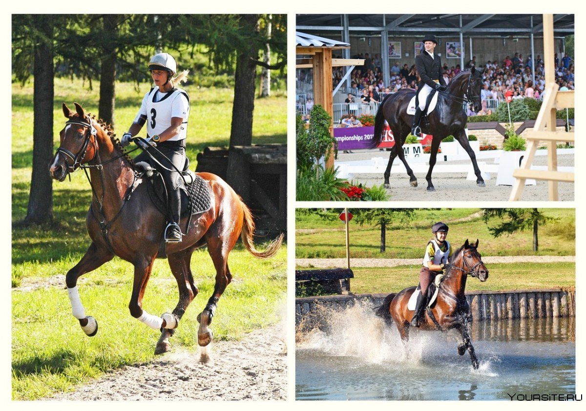 Анастасия Захарова конный спорт