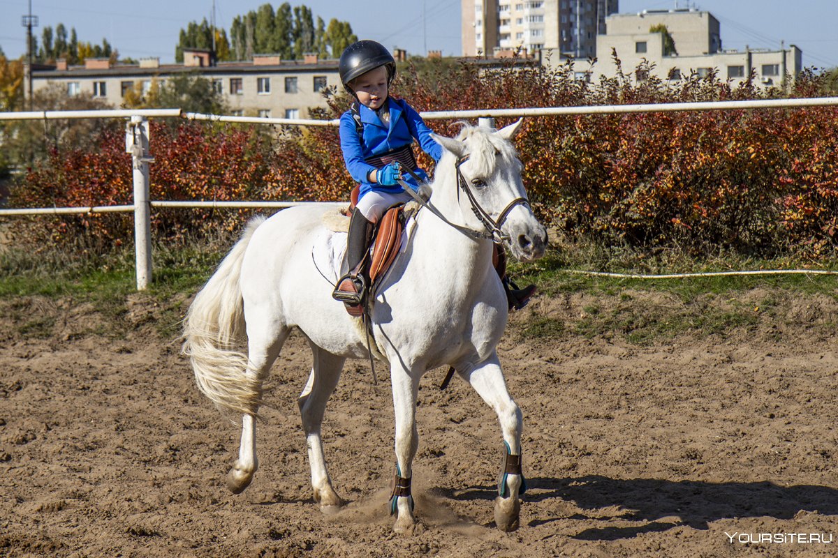 Самодуровский Игорь конный спорт Россия
